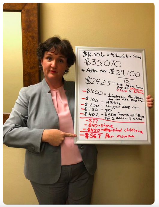 CA Rep. Katie Porter, with a whiteboard showing typical living expenses for a Chase employee in her district.