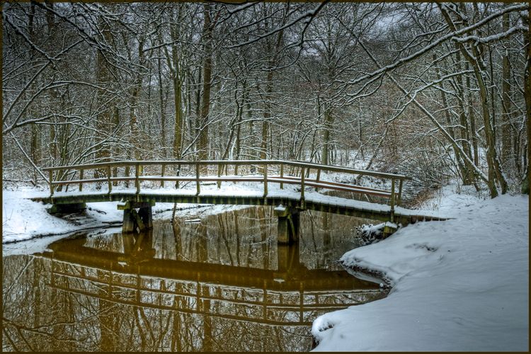 Winter forest, snow-covered wooden bridge reflected in a stream, surrounded by snowy banks and trees