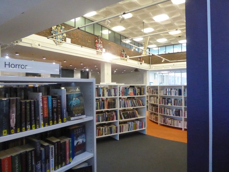 Sets of library shelves chock full of books, books, books; "Horror" section in foreground.  