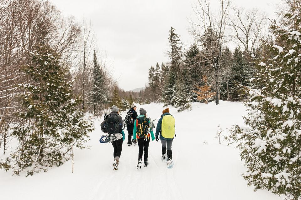 4 women winter hiking in Maine, amidst snow and evergreens