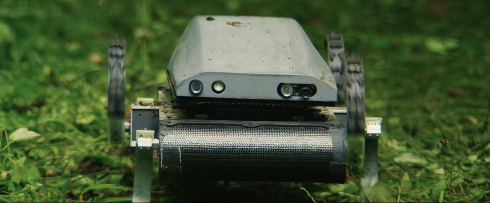 Small robot in a forested area