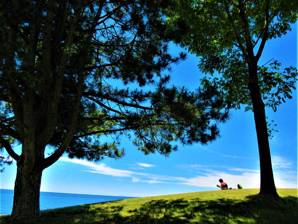 Person reading solo on a sunny day; grassy hill, green trees, deep blue lake, blue sky with low wispy white clouds